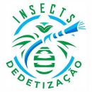 insect